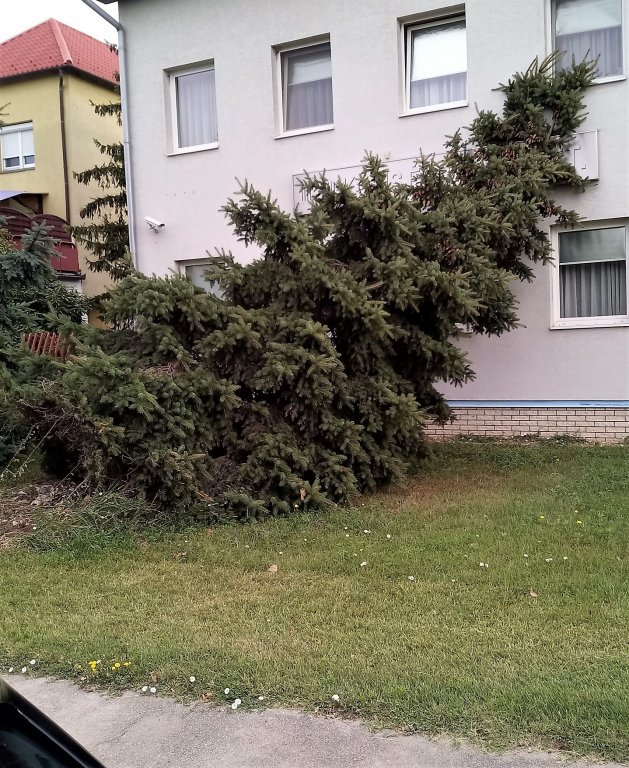 tolnamegyeihirek.hu - Kigyulladt a vasúti töltés Kaposszekcsőnél, nekidőlt egy háznak egy fa Pakson
