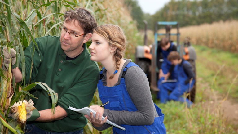 Egyre többen választják az agrár felsőoktatást