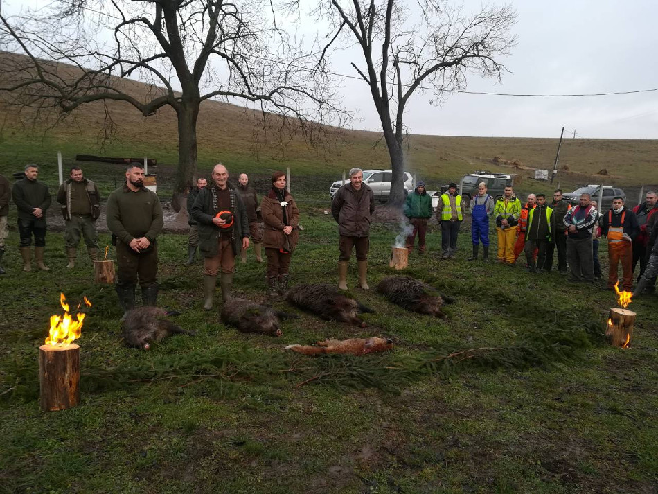 Folytatódnak a terelővadászatok Szekszárdon