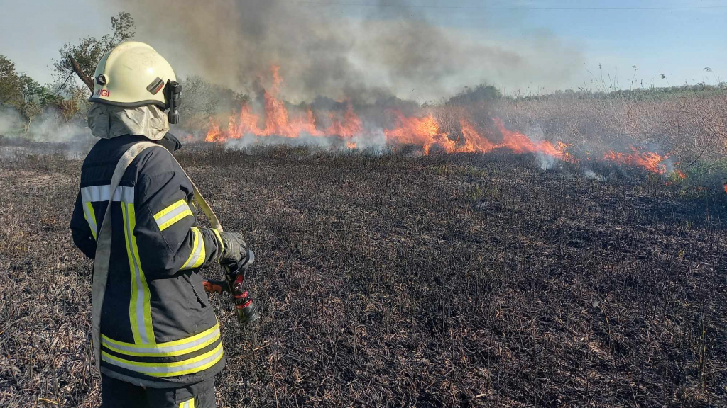 tolnamegyeihirek.hu - Sok riasztása volt a hétvégén a tűzoltóknak Tolnában