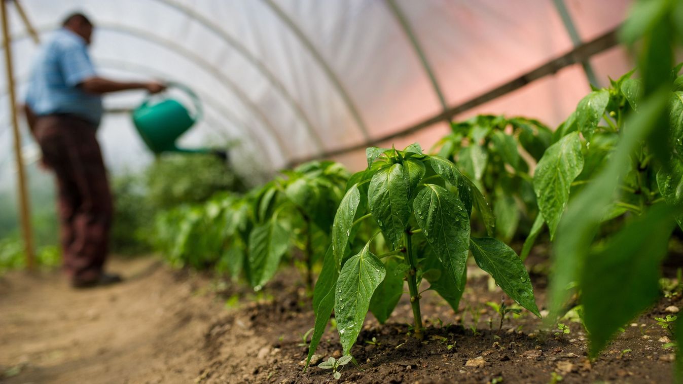 Újabb kiadvánnyal segíti a termelőket az agrártárca és az agrárkamara