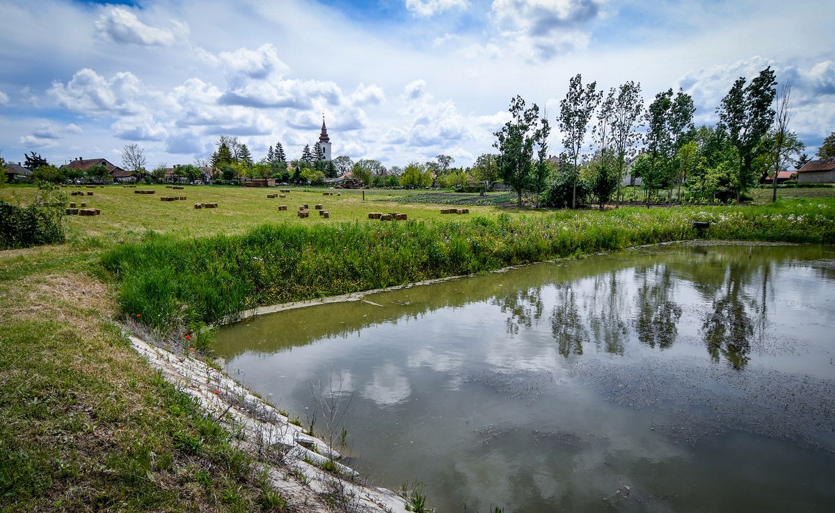 Agroinform.hu: a halastavakban, horgászvizekben is milliárdos károkat okozott az elhúzódó aszály