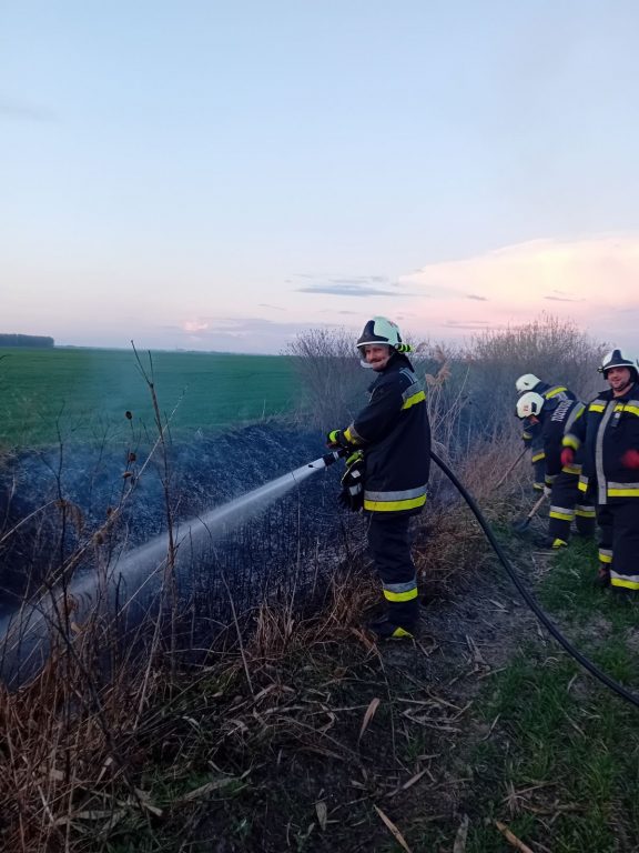 tolnamegyeihirek.hu - Egyre több a szabadtéri tűz, fontos az odafigyelés