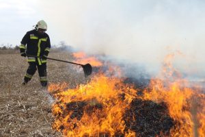 Csütörtök este is szóltak a szirénák: szabadtéri tűz ütött ki Kölesdnél
