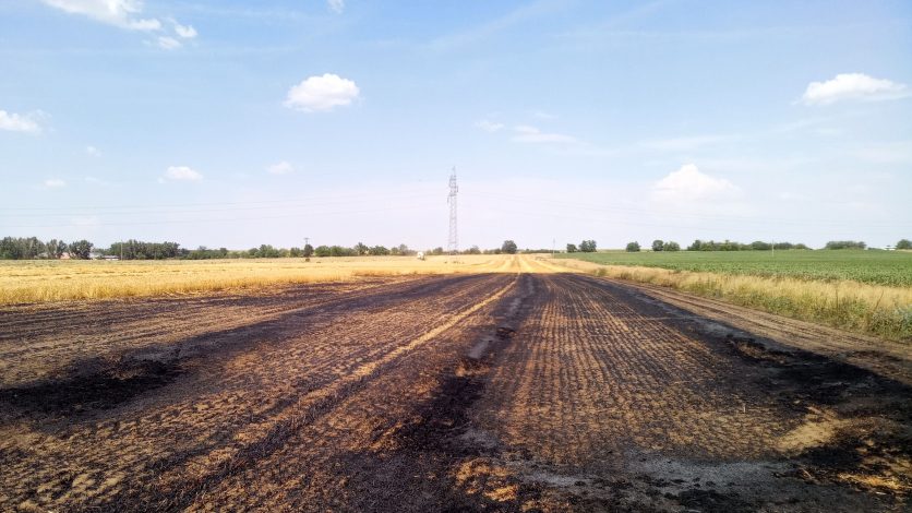 tolnamegyeihirek.hu - Ismét szabadtéri tüzek okoztak gondot Tolna vármegyében