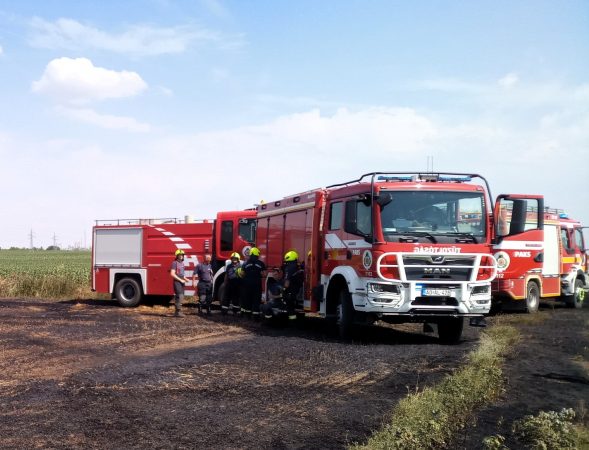 Ismét szabadtéri tüzek okoztak gondot Tolna vármegyében