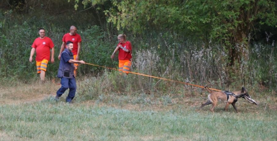 tolnamegyeihirek.hu - Társak a bevetésen: kutyás kiképzést tartottak Szekszárdon
