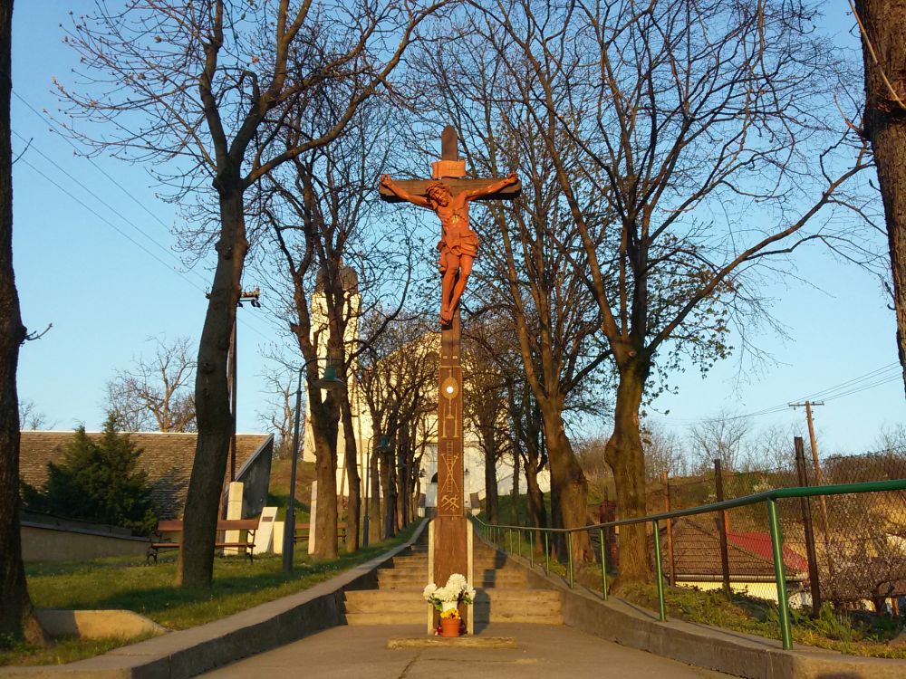 tolnamegyeihirek.hu - Ezúttal is a közösség döntheti el, melyik legyen az év fája Pakson