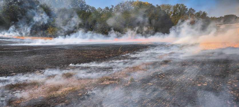 Kaposvári, siófoki és solti tűzoltók segítségére is szükség volt megyénkben kedden