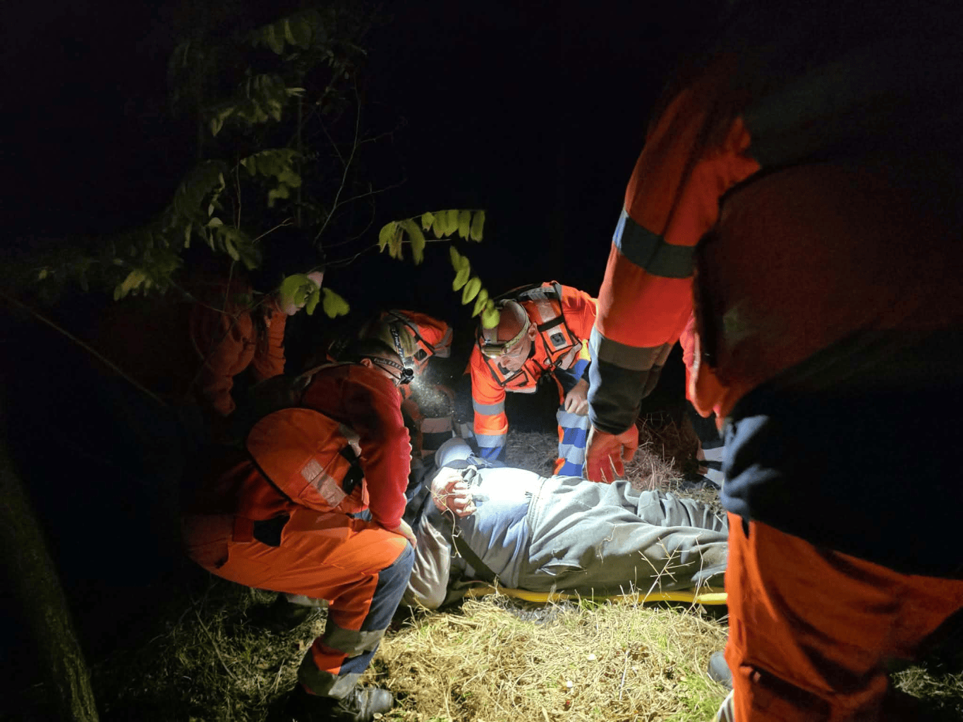 Közös összefogással találták meg az öngyilkosságot tervező férfit Fácánkertnél