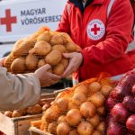 Kedvezményes burgonya- és hagymavásárt szerveznek Nagydorogon