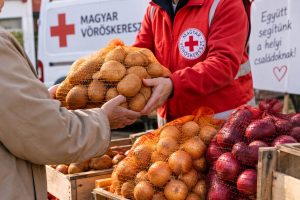Kedvezményes burgonya- és hagymavásárt szerveznek Nagydorogon