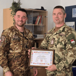 Sikeres ellenőrzést tartott a NATO Medinán