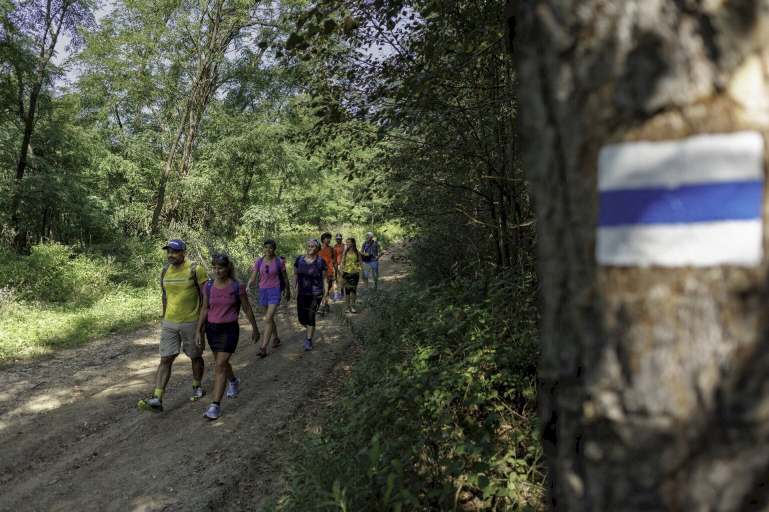 Kéktúrázás Napja: több Tolna megyei útvonal is csatlakozik az országos megmozduláshoz