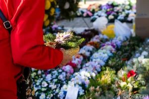 Két hetes akciósorozatba kezdenek a NAV ellenőrei, itt jelenhetnek meg