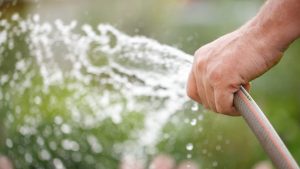 Őszi öntözés: az aszály miatt változtatni kell a szokásokon