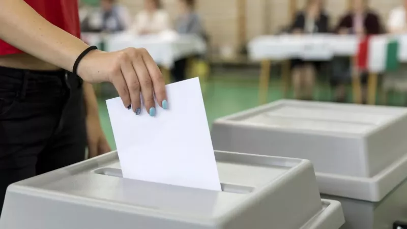 Medinai választási kisokos: határidők és tudnivalók egy helyen cikkünkben